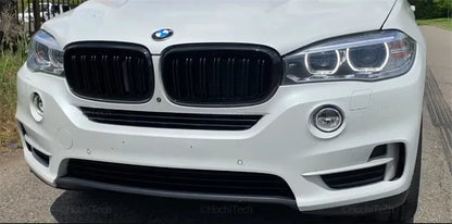 Dual slat kidney grilles on car
