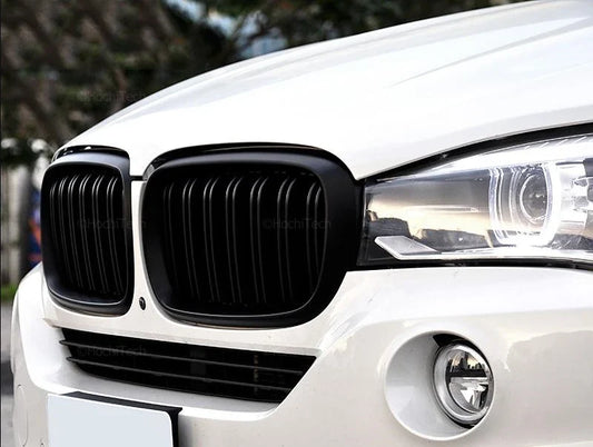 Dual slat kidney grilles on car